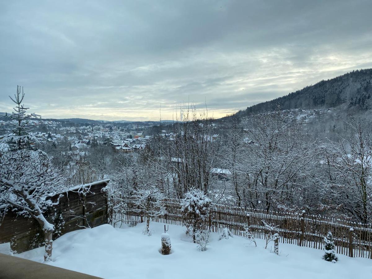 Chalet Huettenzauber Zella-Mehlis Eksteriør bilde