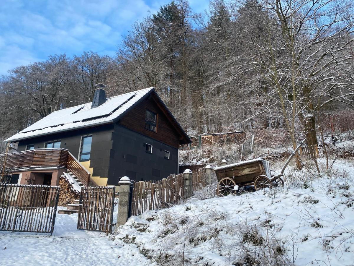 Chalet Huettenzauber Zella-Mehlis Eksteriør bilde